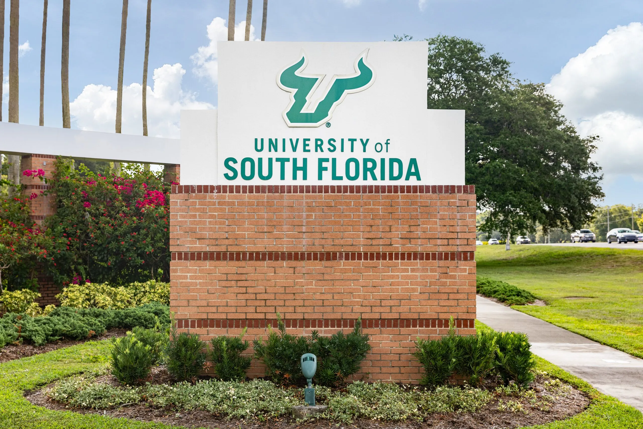 University of South Florida